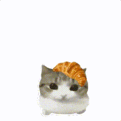 搞怪meme猫可爱动图表情包 