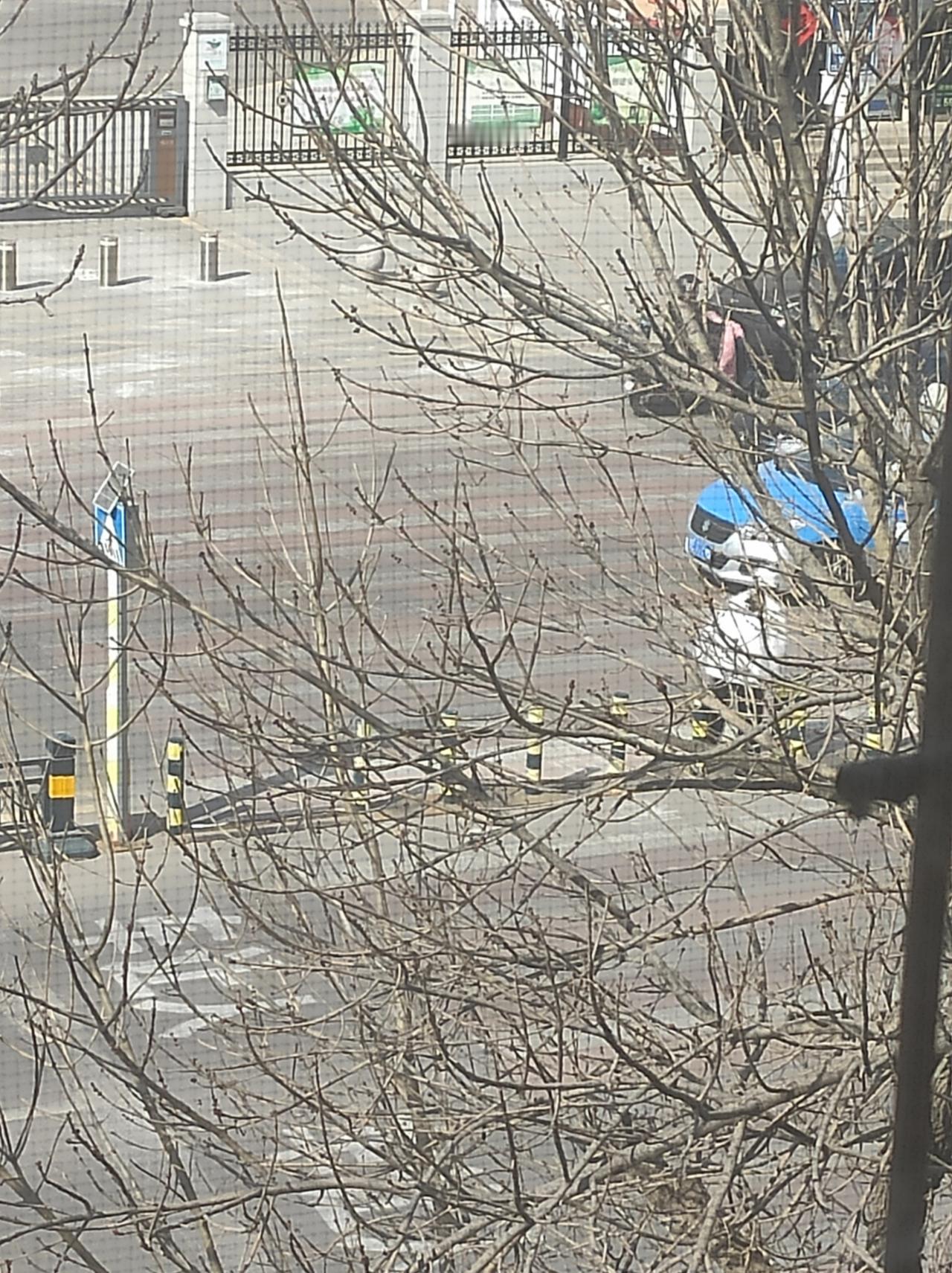 礼让行人这件事，现在越来越鸡肋了……
首先，有多少车真正执行了呢？
其次，执行的