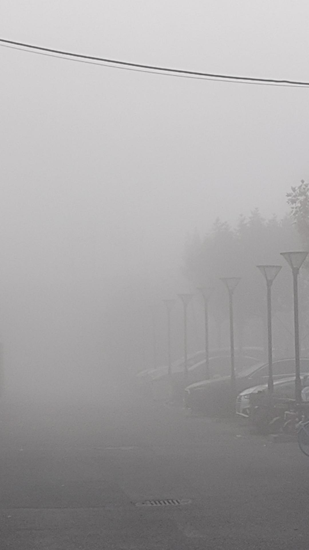 顺天意，今天不跑步了
不知道近期怎么了，北京的雾多了起来。今天懒起了点，起来一看