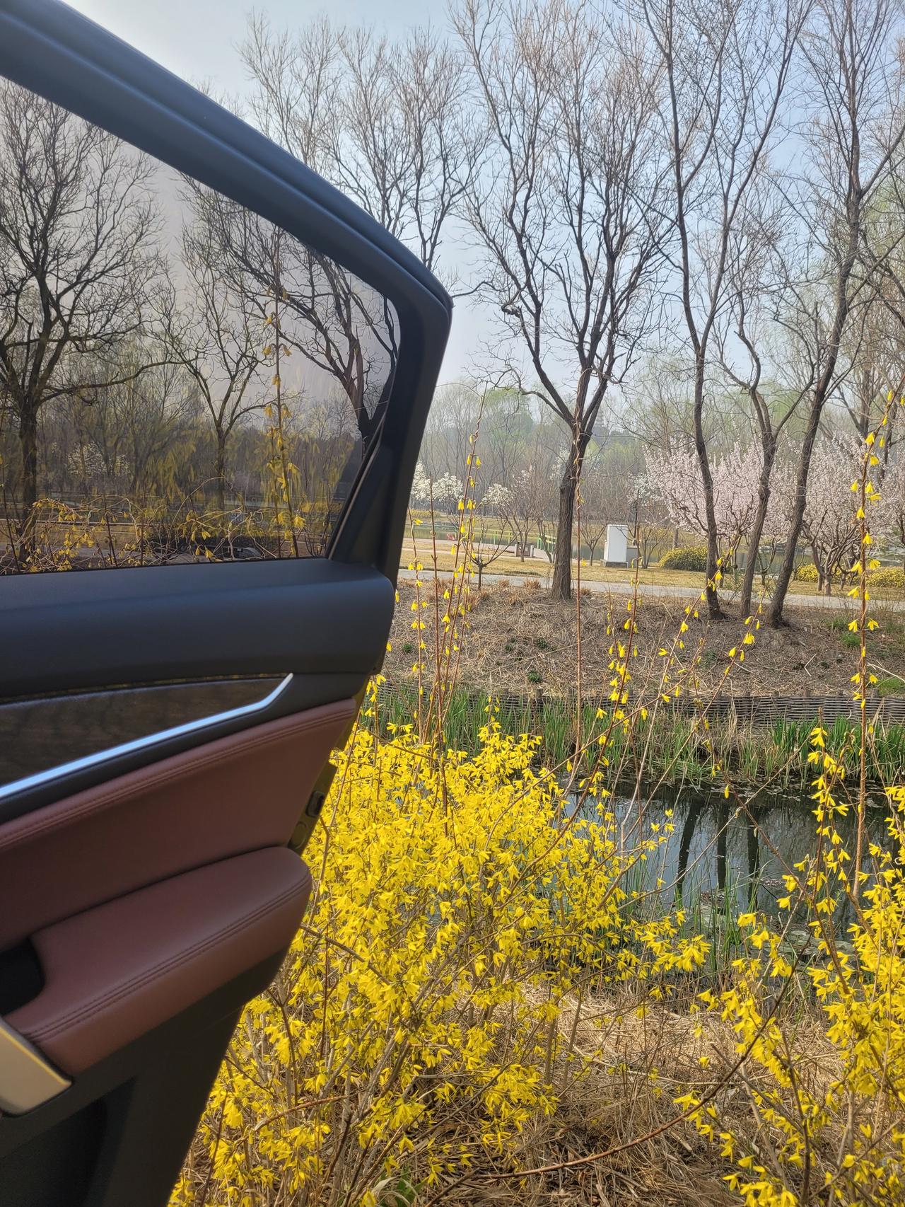 对付北京中度雾霾的玩法：寻一公园停车路边，听音乐喝咖啡看看近处风景刷刷手机，不亦