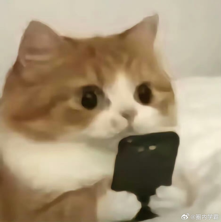 在上海待久了真的会变漂亮 节奏快但不焦虑，精致但不刻意，在上海生活，变美是顺便的