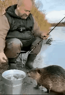 老人很善良，看到小海狸把桶里的鱼叼走了，老人不仅不生气，没去追回来，还开心的笑了