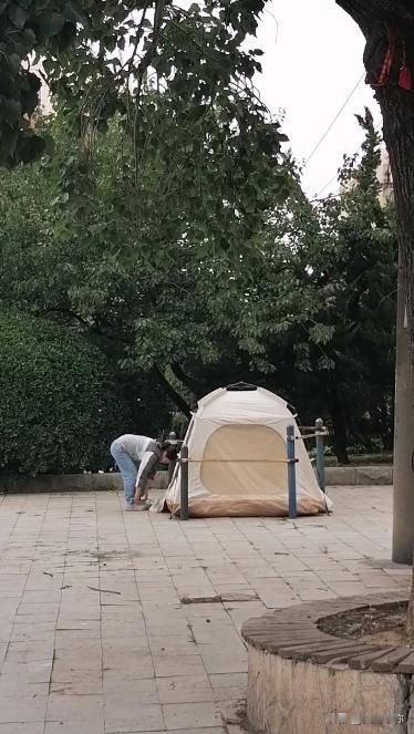 大连家长考点搭帐篷陪考，暖心还是加压？心理专家：过度陪伴反成负担
 
高考首日，