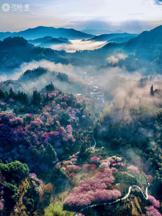 在古徽州上春山！皖南古村邂逅世外桃源🌸