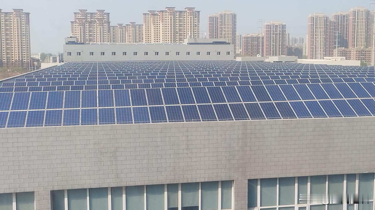 建在屋顶的科技狠活[赞]