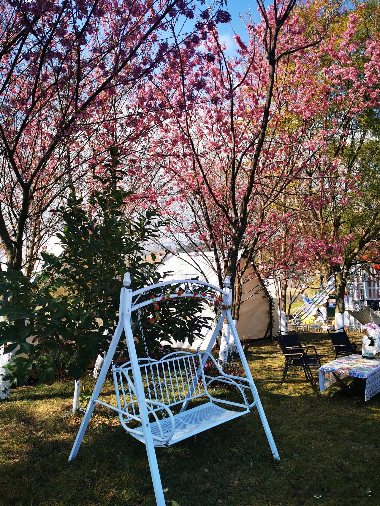 不信？大家拭目以待吧。