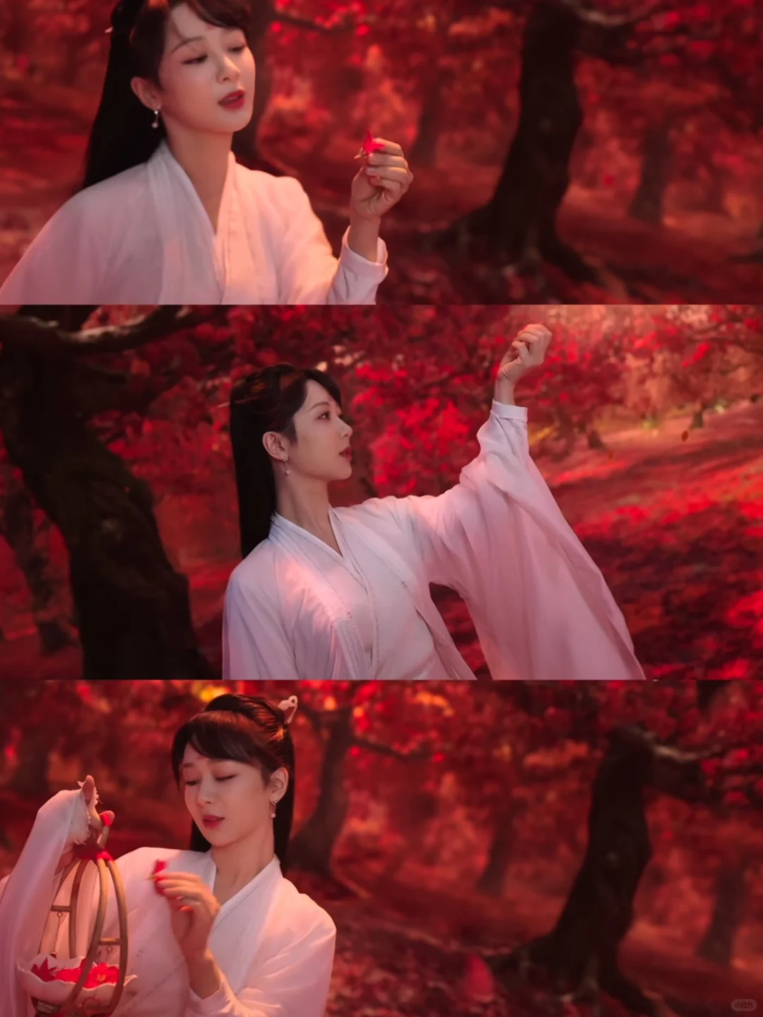 真的没人说杨紫吗？
