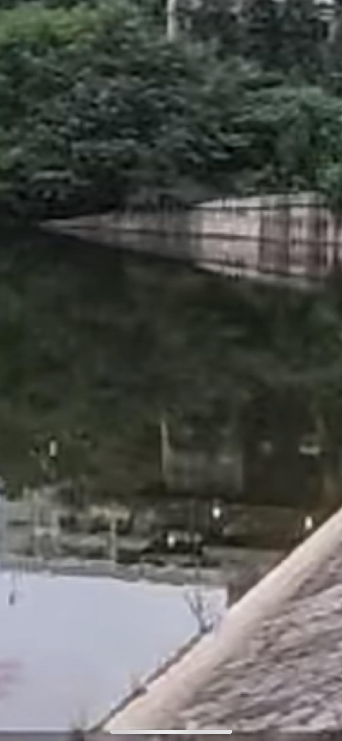 10月28日凌晨，恩阳籍34岁消防员苟俊，在巴中津桥湖勇救2名女子后不幸遇难。苟