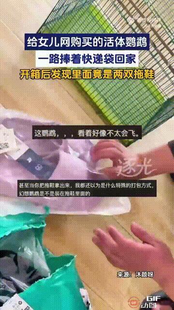 笑不活了！山东济南一名女子的女儿很喜欢小鸟，于是她就给女儿在网上购买了一只鹦鹉，