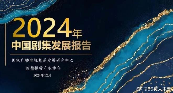广电出品——《2024年中国剧集发展报告》网剧上星黄金档且收获较高关注的案例—《