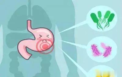 脾胃生病的起因脾胃四怕，生、冷、撑、生气脾胃有四怕。一怕生，二怕冷，三怕撑，四怕