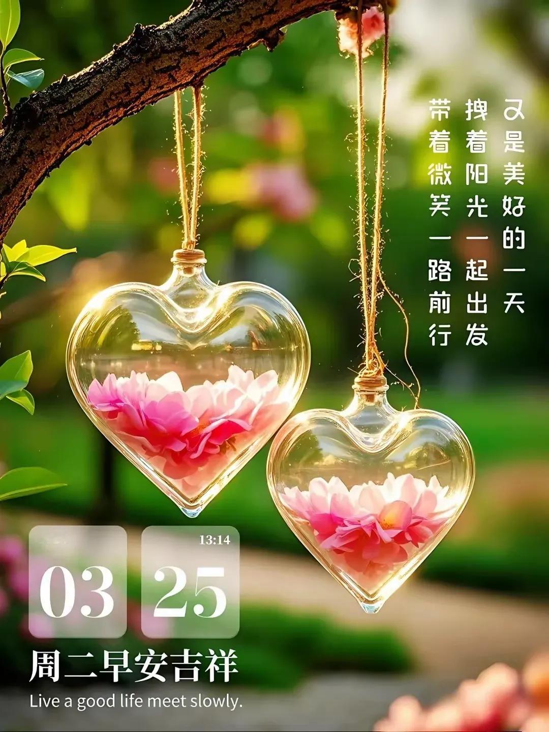 春日生活打卡季早安，朋友们。