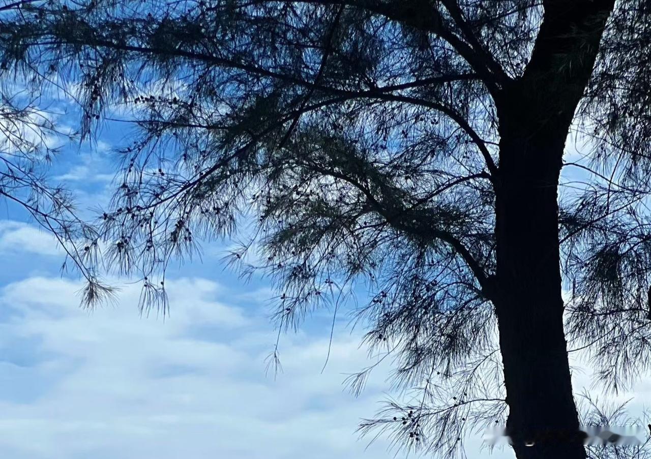 ❤️一个人能够放下的东西越多，他就越是富有。绝大多数奢侈品，以及许多所谓的生活的