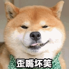 我以前家里面养了一只狗，它也会逮老鼠，自己抓着玩，把老鼠咬死了，但是它不吃。