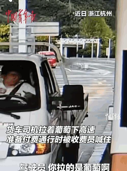 “太暖心了！”浙江杭州，货车司机拉了一车葡萄进收费站，可是收费员却盯着他的葡萄看