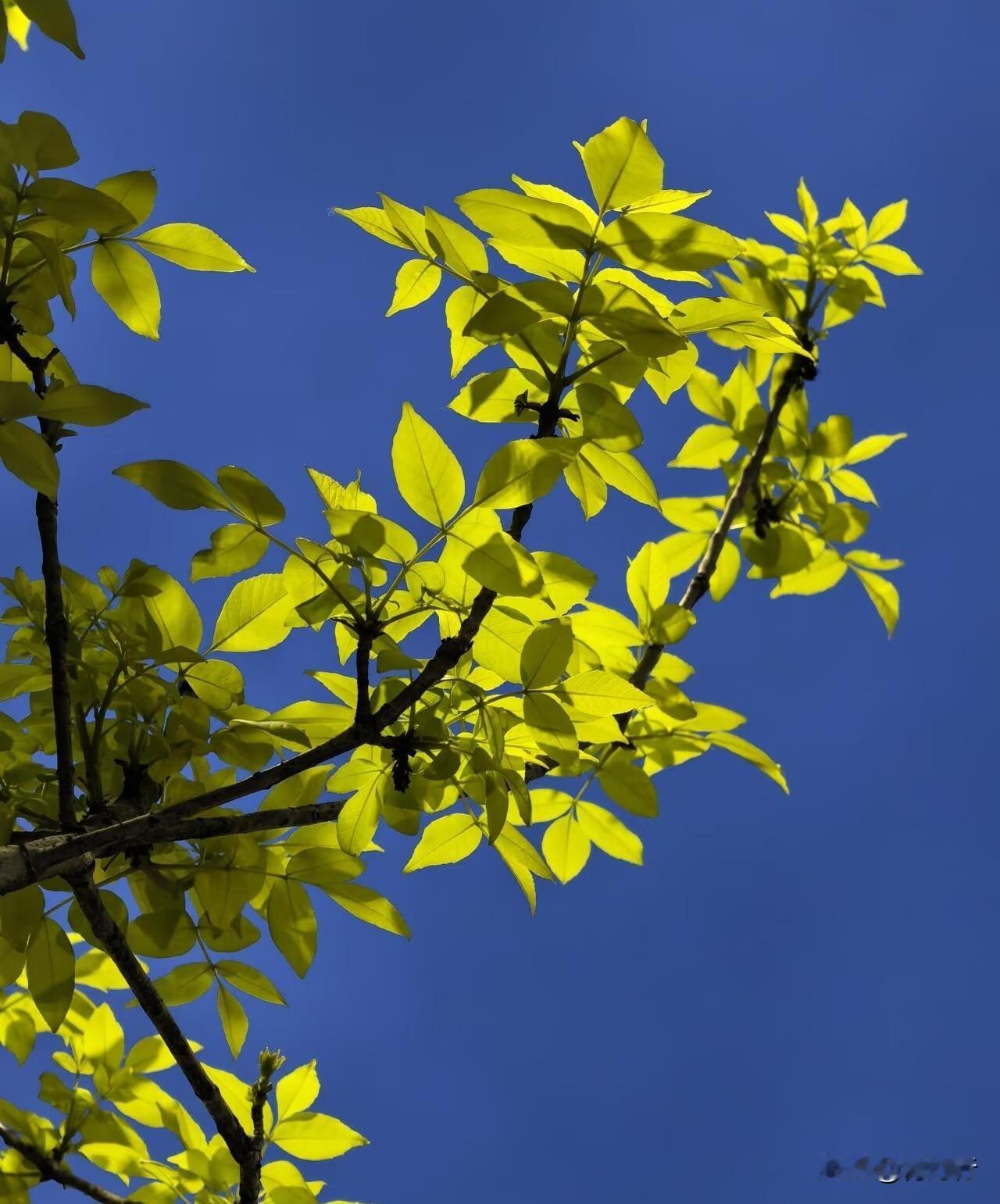 读过最寂寞的一句诗
短短几个字
就让人心里一凉
 
孤舟蓑笠翁
独钓寒江雪
 