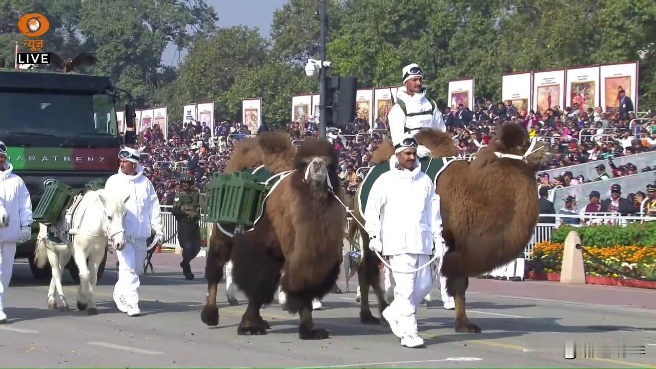 在印度共和国日举行的盛大阅兵式上，出现了“动物士兵”与军事人员共同参与其中。参与