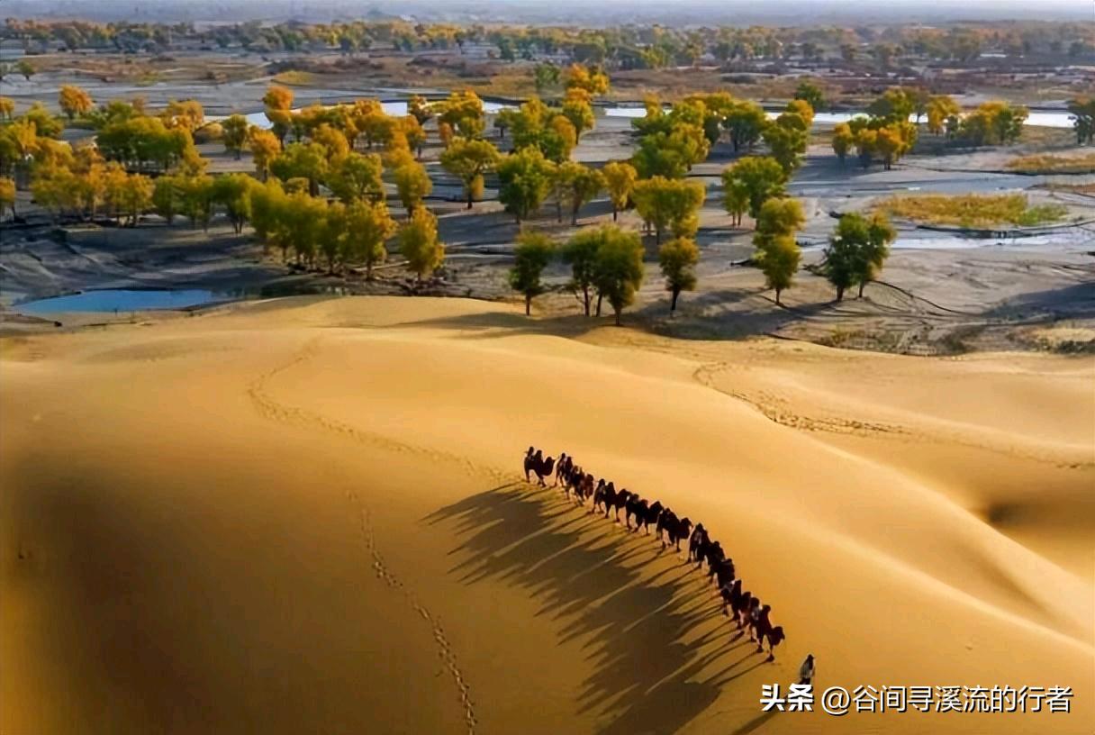 塔克拉玛干沙漠突然“锁边”，下一步竟是“西部粮仓”？这步棋太妙了！

当全世界还