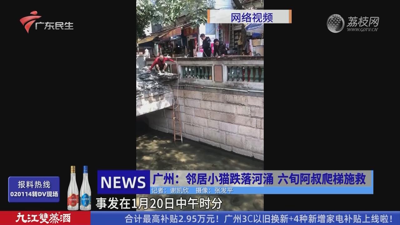 广州：邻居小猫跌落河涌六旬阿叔爬梯施救