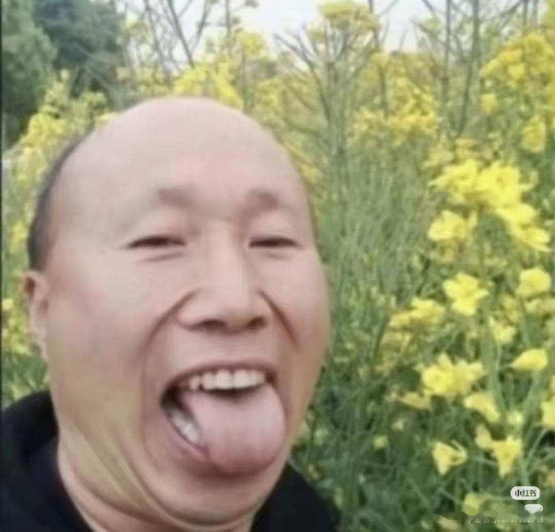 十点油菜地 