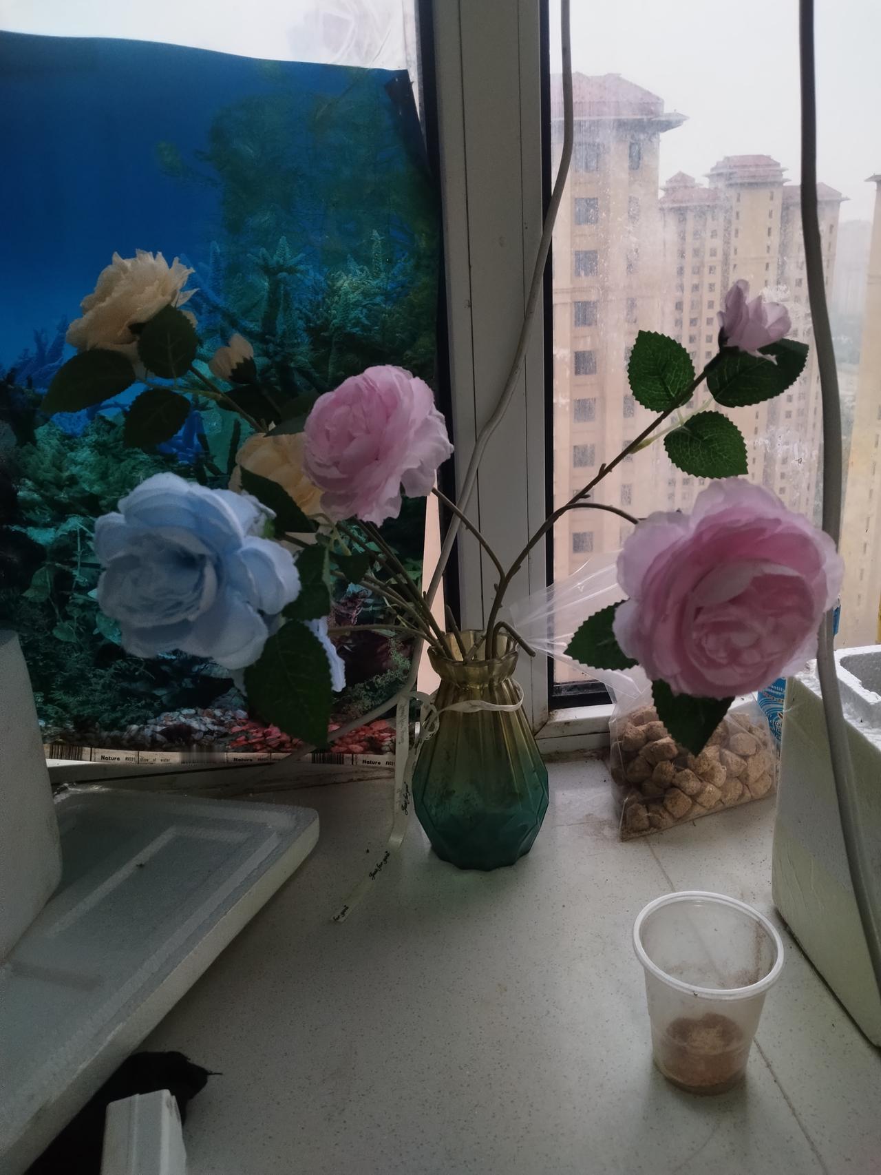 人真的不能太干净了
我有个闺蜜，离婚独居，我从没见过比她还干净的人
也突然体会到