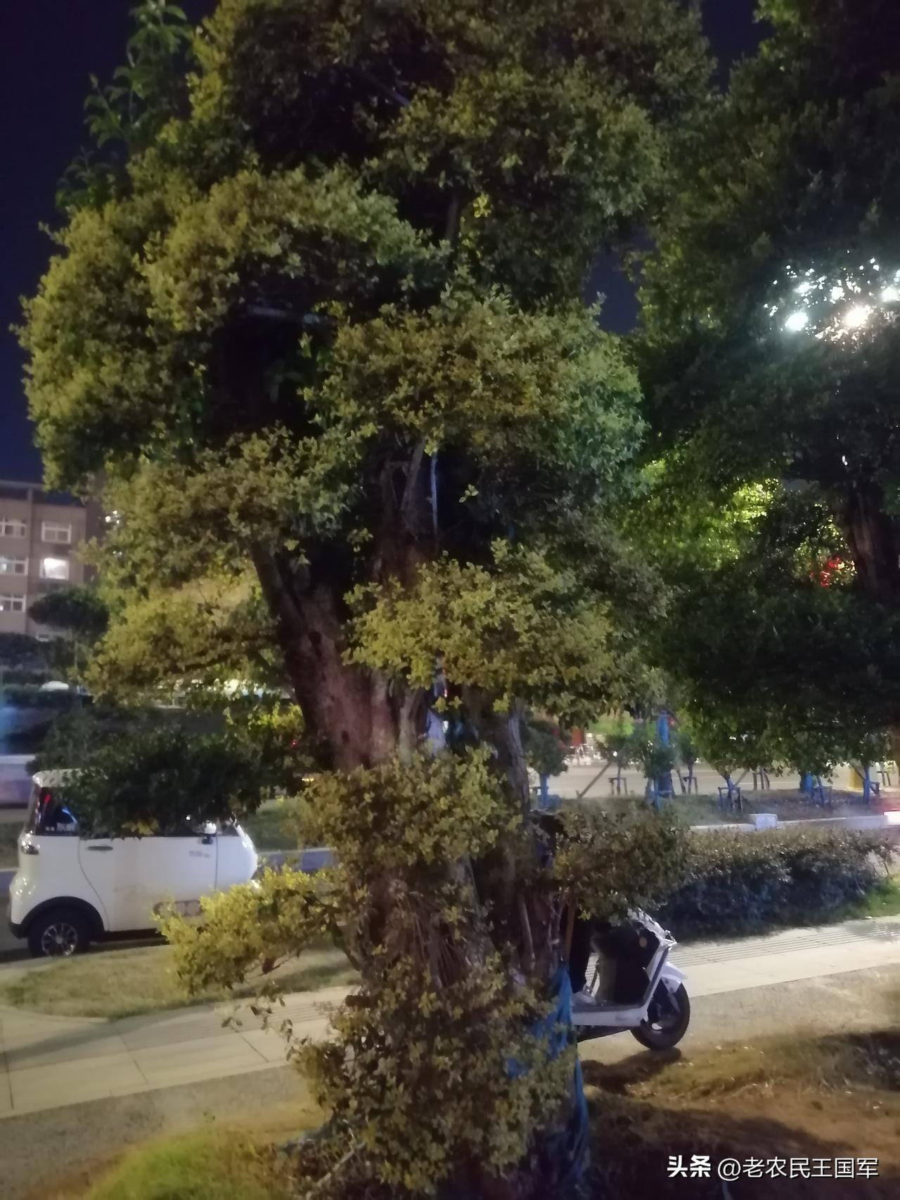 现在绝大多数资本主义国家是混合所有制，以土地私有为主体，同时保留一部分国有/公有