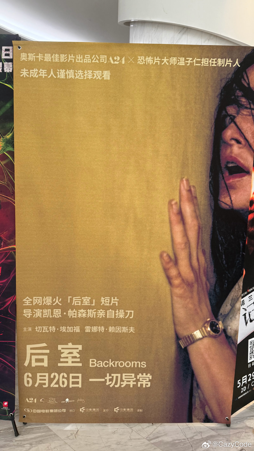 看完了，怎么说呢……对于新人导演开门红来说确实是很牛逼了，很多镜头都用的很好，技
