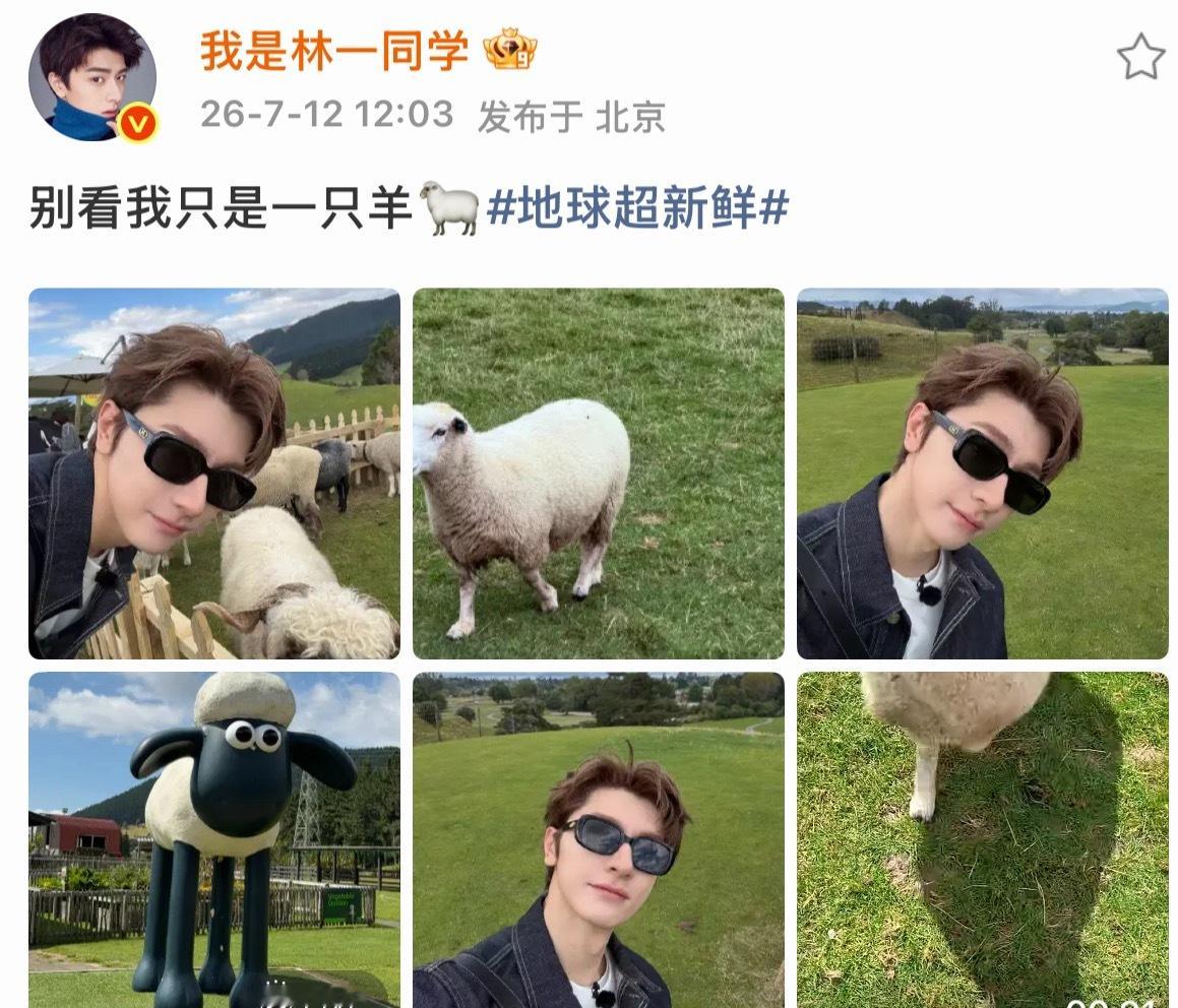 也生百林鸟在评论区battle唱歌了哈哈哈哈哈哈这波我给也子打51分林一50分林