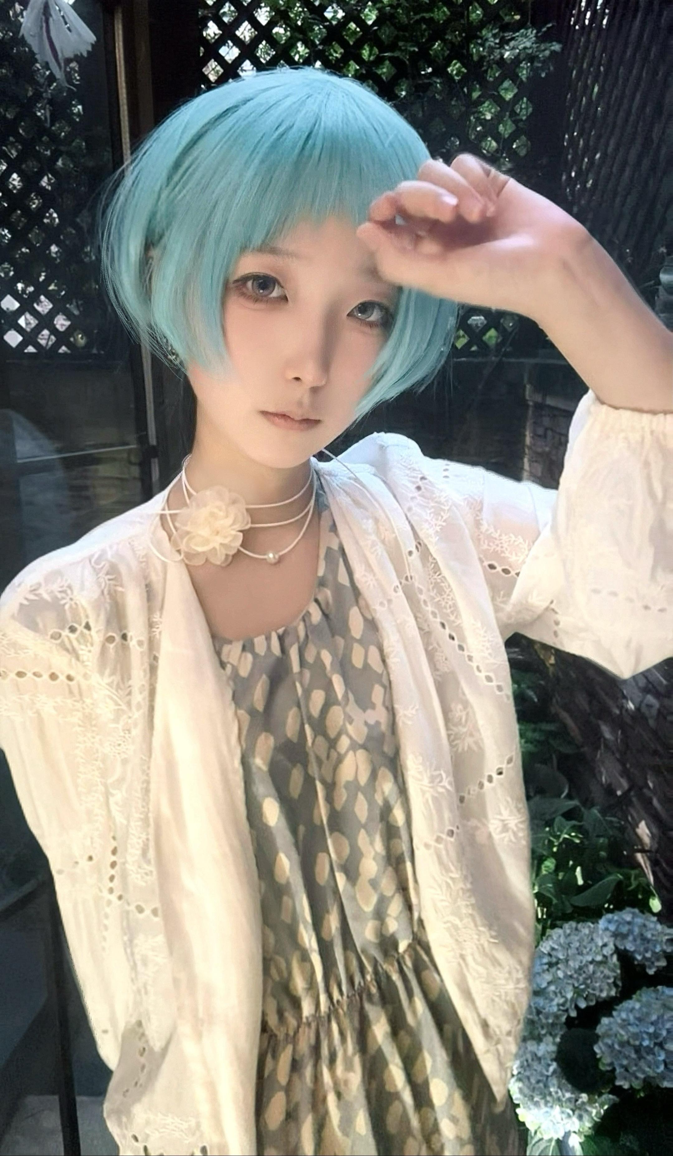 🌼。