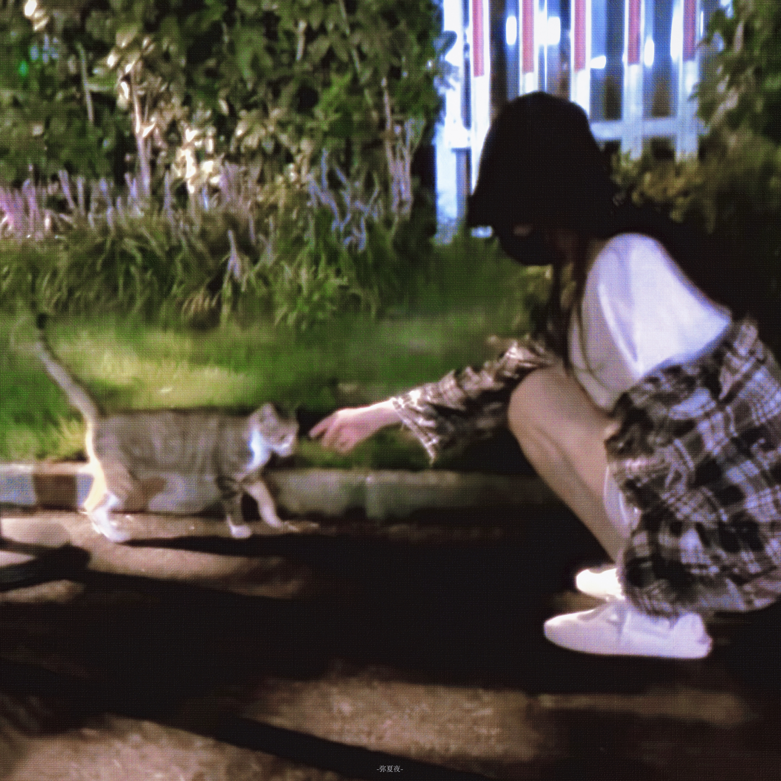 Σ>―(〃°ω°〃)♡→ 