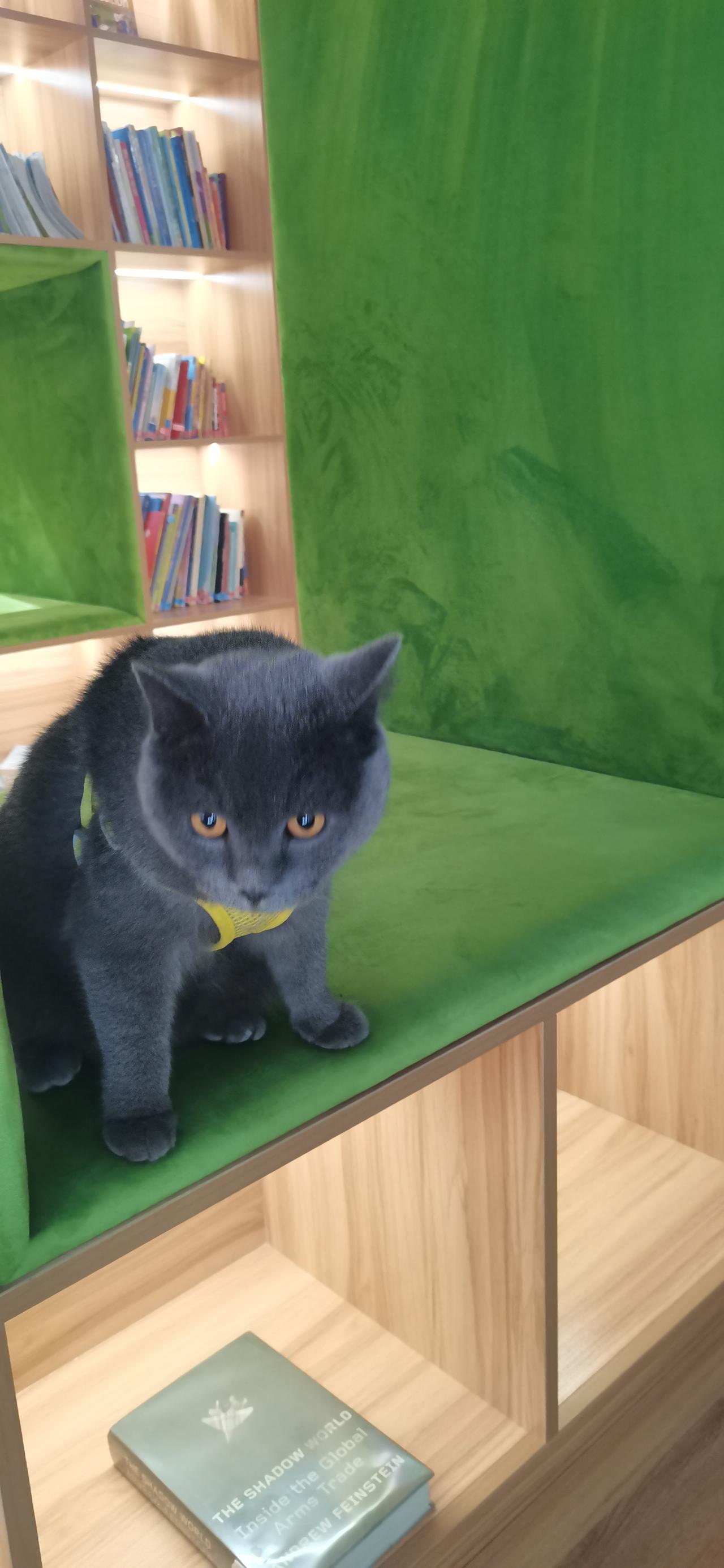 你就是今天最靓的仔！