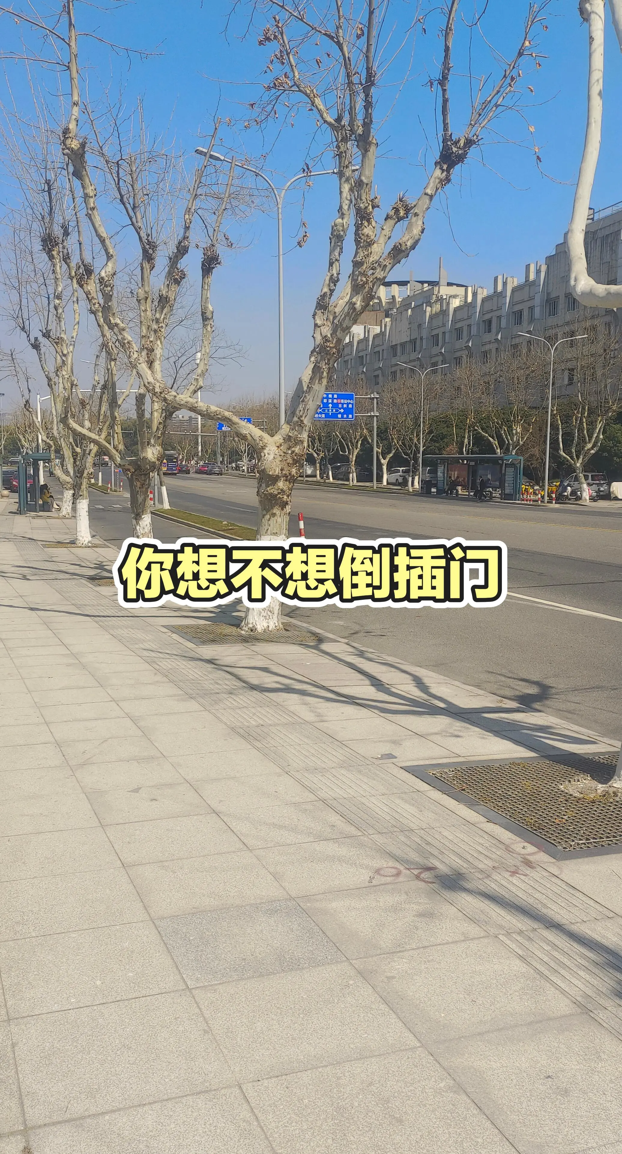 每日分享穿搭
