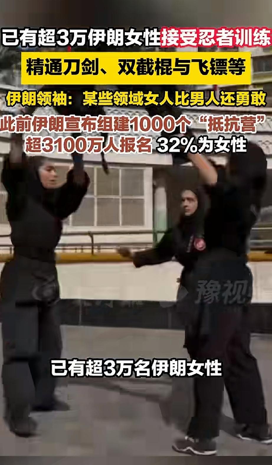 伊朗人民英勇顽强，绝不屈服，不惧牺牲，不畏艰难，若能配备充足的枪械等武器，必然能