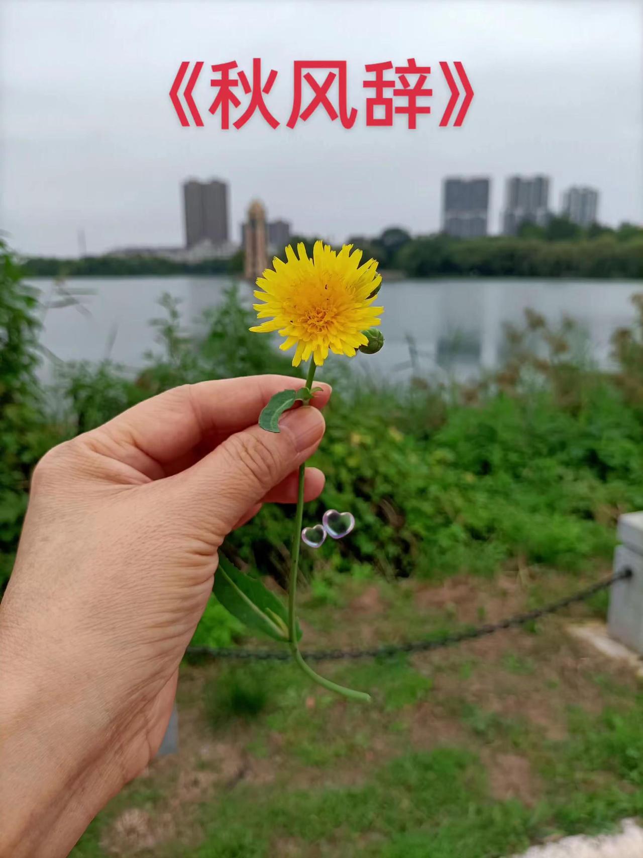 治愈心情 随手拍
