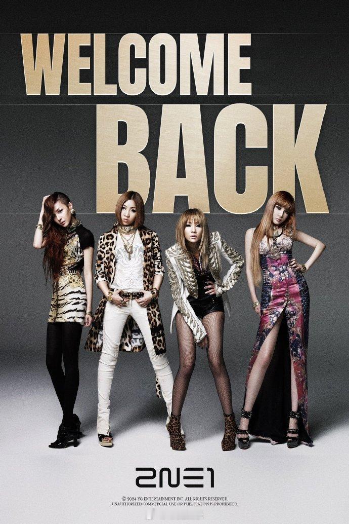 【#2NE1#出道15周年举办单独演唱会】YG娱乐表示“今年是2NE1出道15周