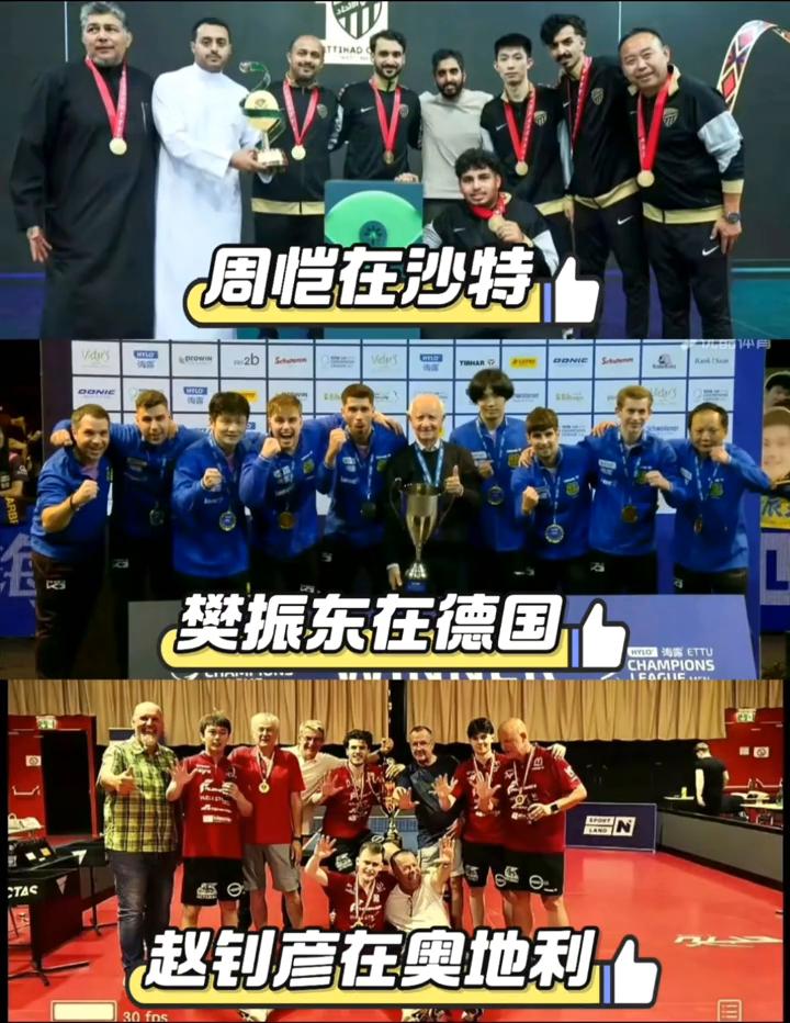周恺在沙特，樊振东在德国，赵钊彦在奥地利，冲击第三个冠军。