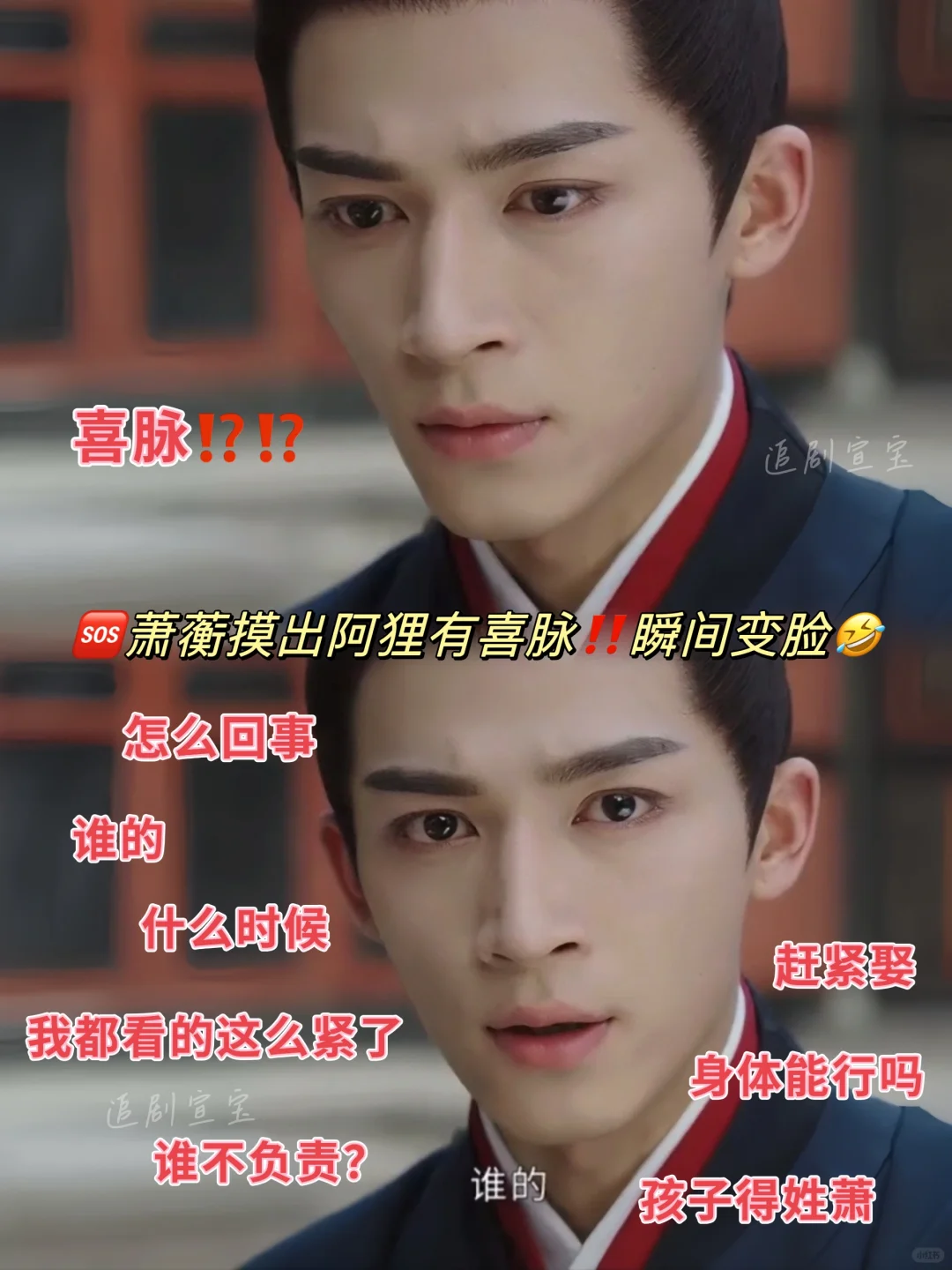 🆘萧蘅摸出阿狸喜脉❗800个心眼子❗