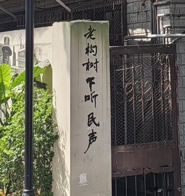 如今这种构树都保护了，社会到底是进步还是退化？