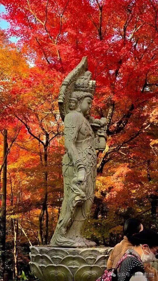 上联:柳岸莺歌欢过客
下联:枫林雁语留骚人
横批:附庸风雅