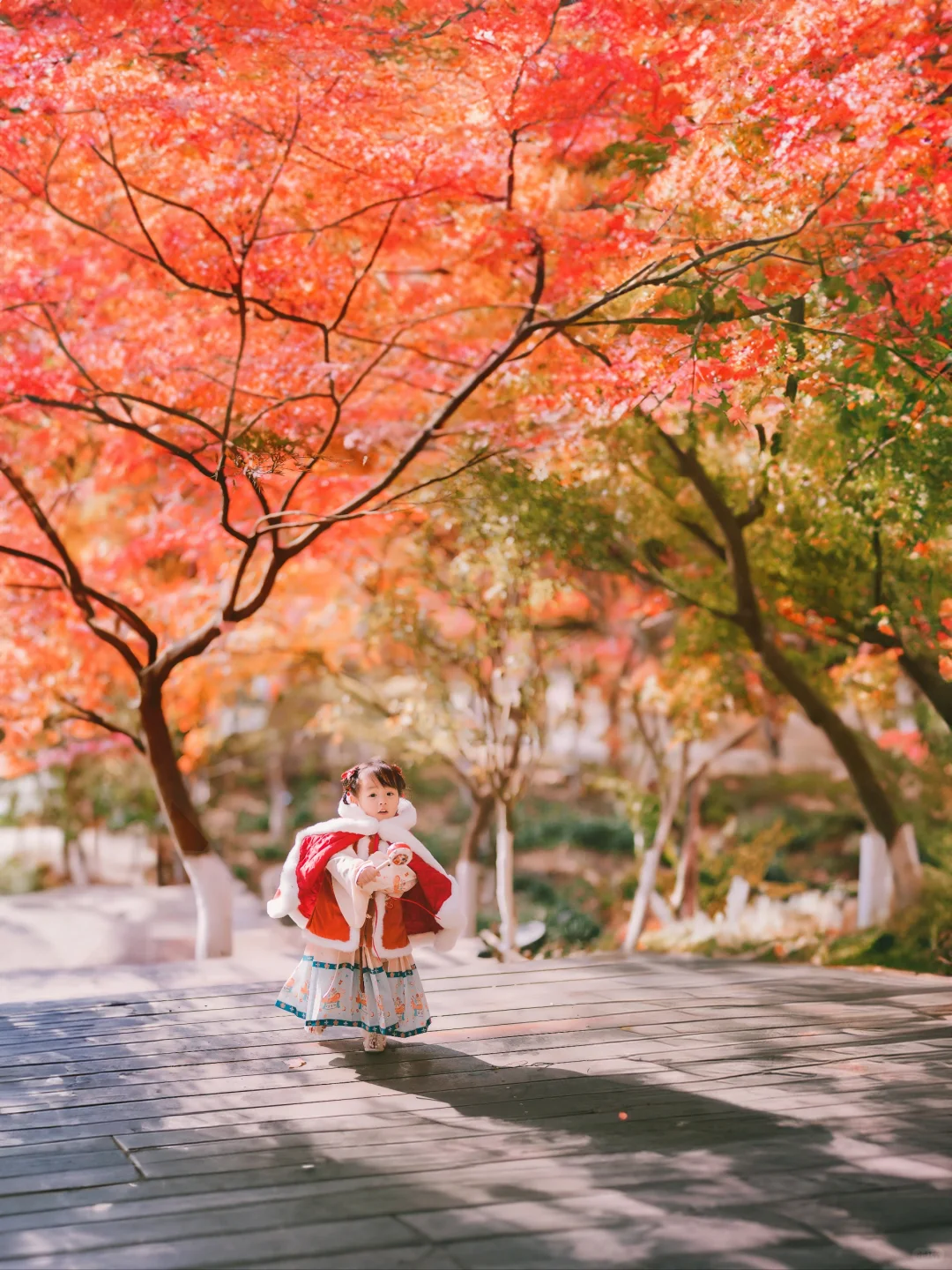 接下来，南京的秋天🍂是这样的……