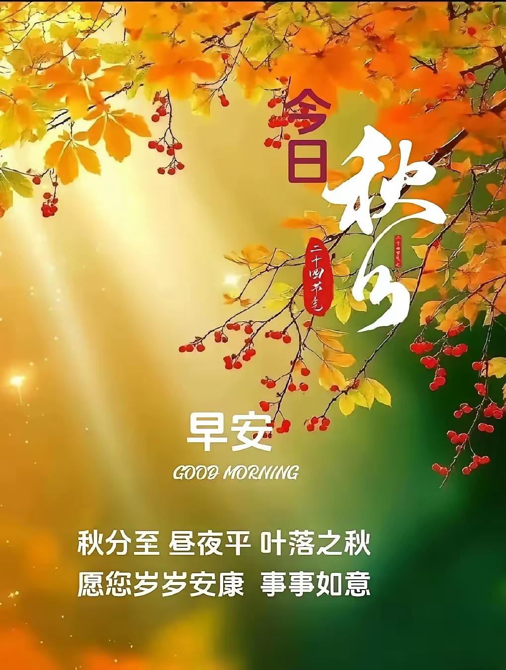 昼夜平分秋意浓，平安康健最珍贵。祝您秋分安康，喜乐常伴。
晒图大赛 
作者加速成
