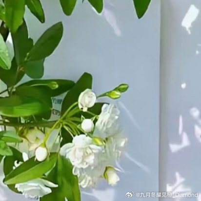 每日一善每日一善 阳光信用阳光来自太阳，更来自我们的心灵。心里阳光，生活便是七彩