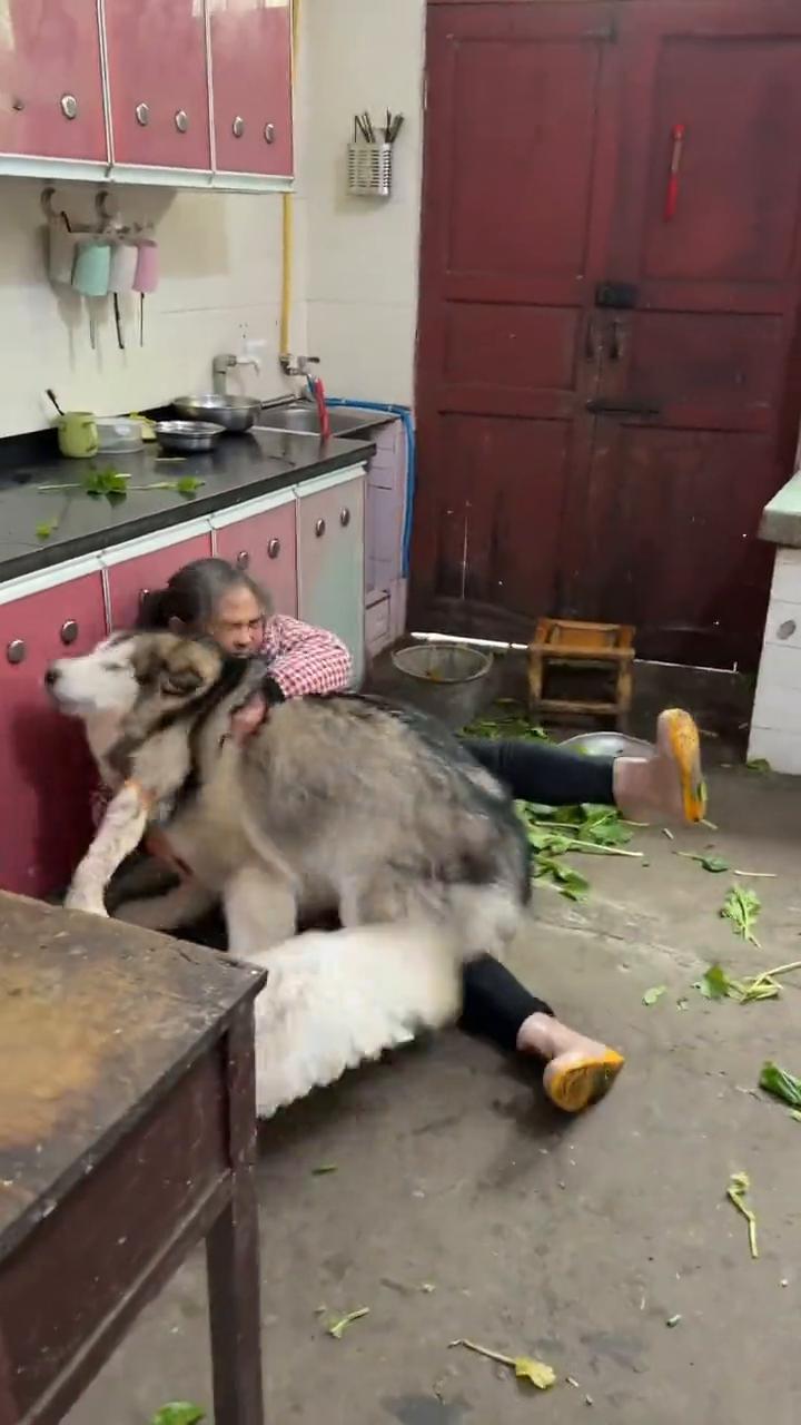 我当时大意了，没落山脚下，他突然袭击我，偷袭一个右边的，我真能一个。