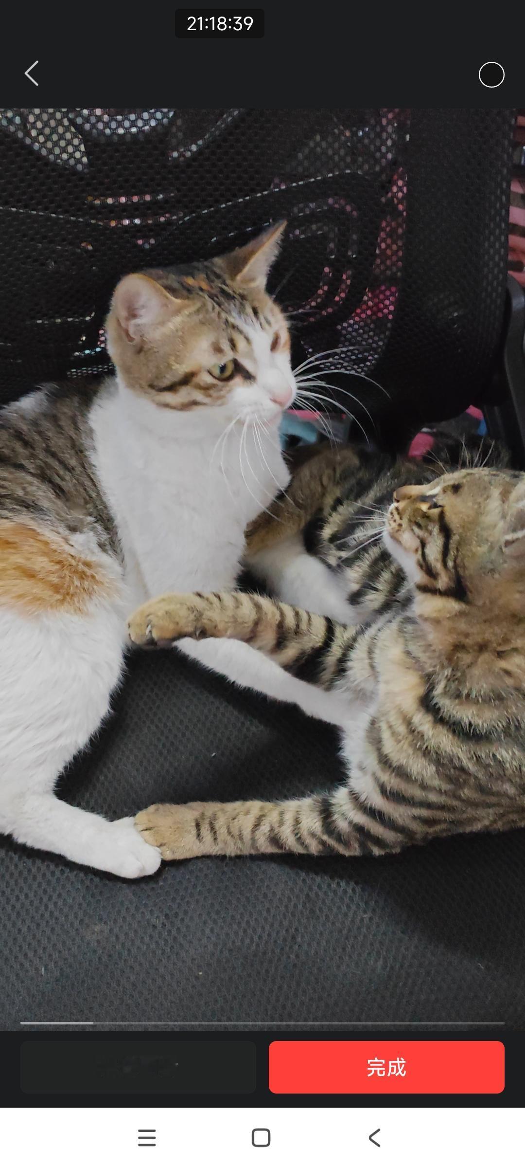 清晨的阳光晒不到窗前，因为住的城中乡。

昨夜的疲惫还在心间

洗漱完毕整装出发