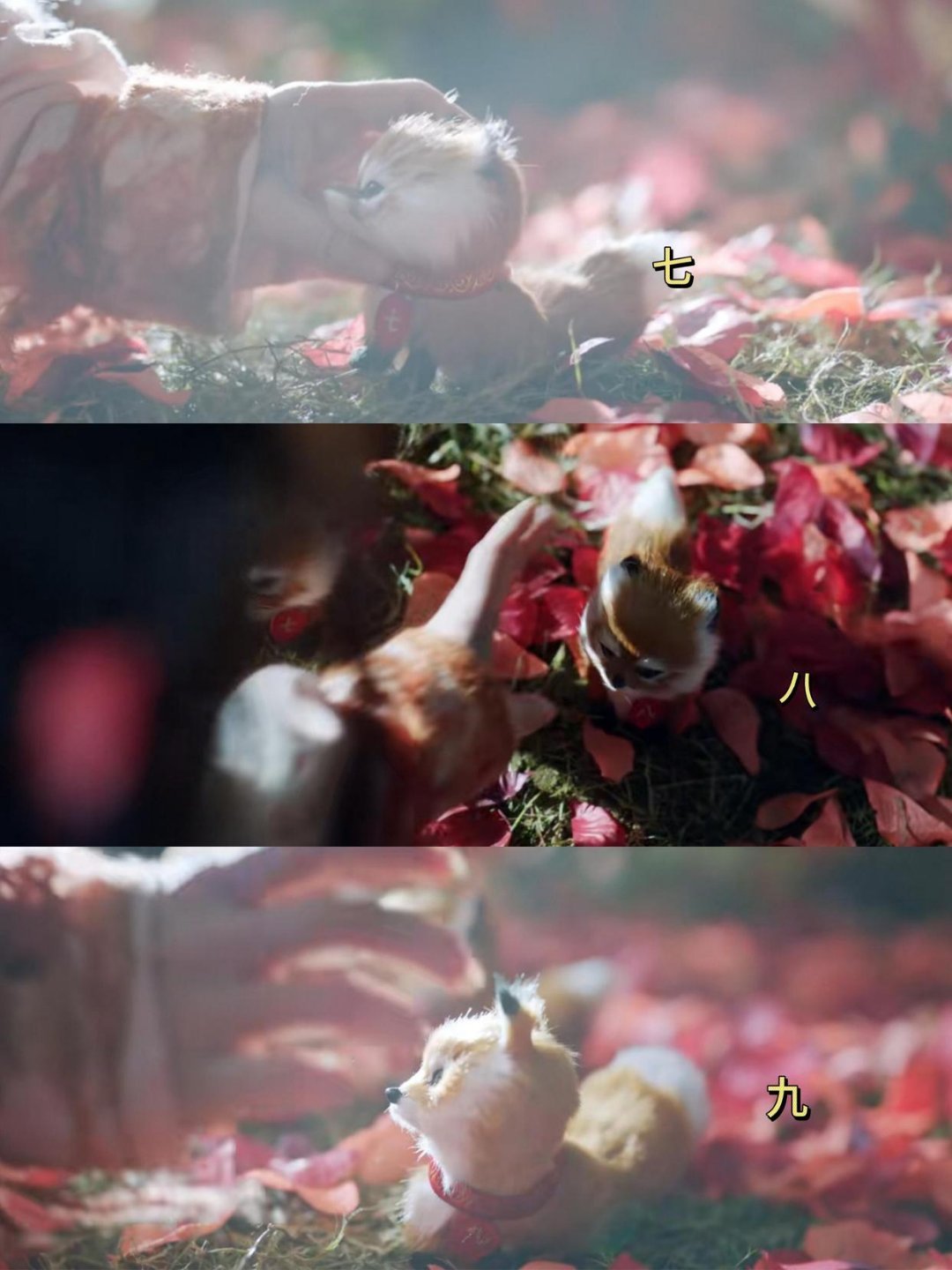 白月梵星，不是，有没有可能献祭情树和名字有关😂😂😂刚刚好 七八九 都没了所