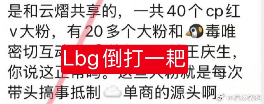 Lbg的倒打一耙术真的炉火纯青啊，把汰渍的粉丝做的事移花接木，换头造💊，企图洗