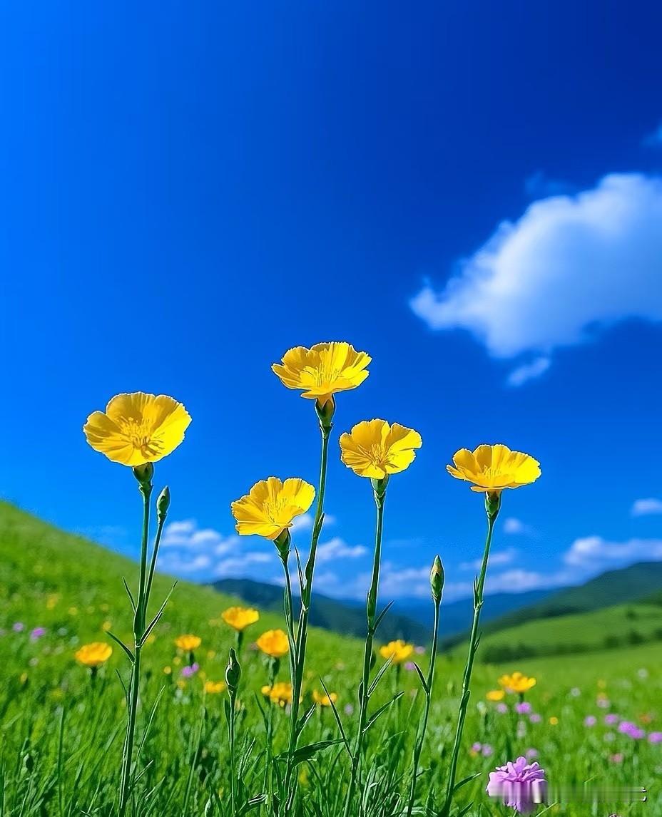 一位老中医说得很实在：
“你再怎么拼命赚钱，
再怎么要强好胜，
 
不如身体无病