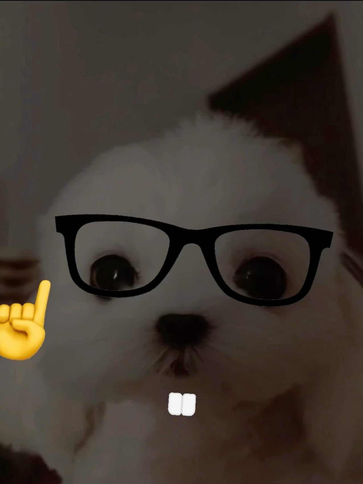 不是 啥意思 我说牛牛状态好多了 已经恢复王之形态了 