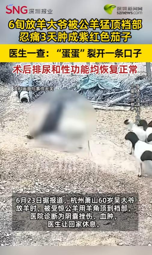 “高低得炖了补补！”6月23日报道，浙江杭州，一位60岁的大爷在放羊时，被受惊的