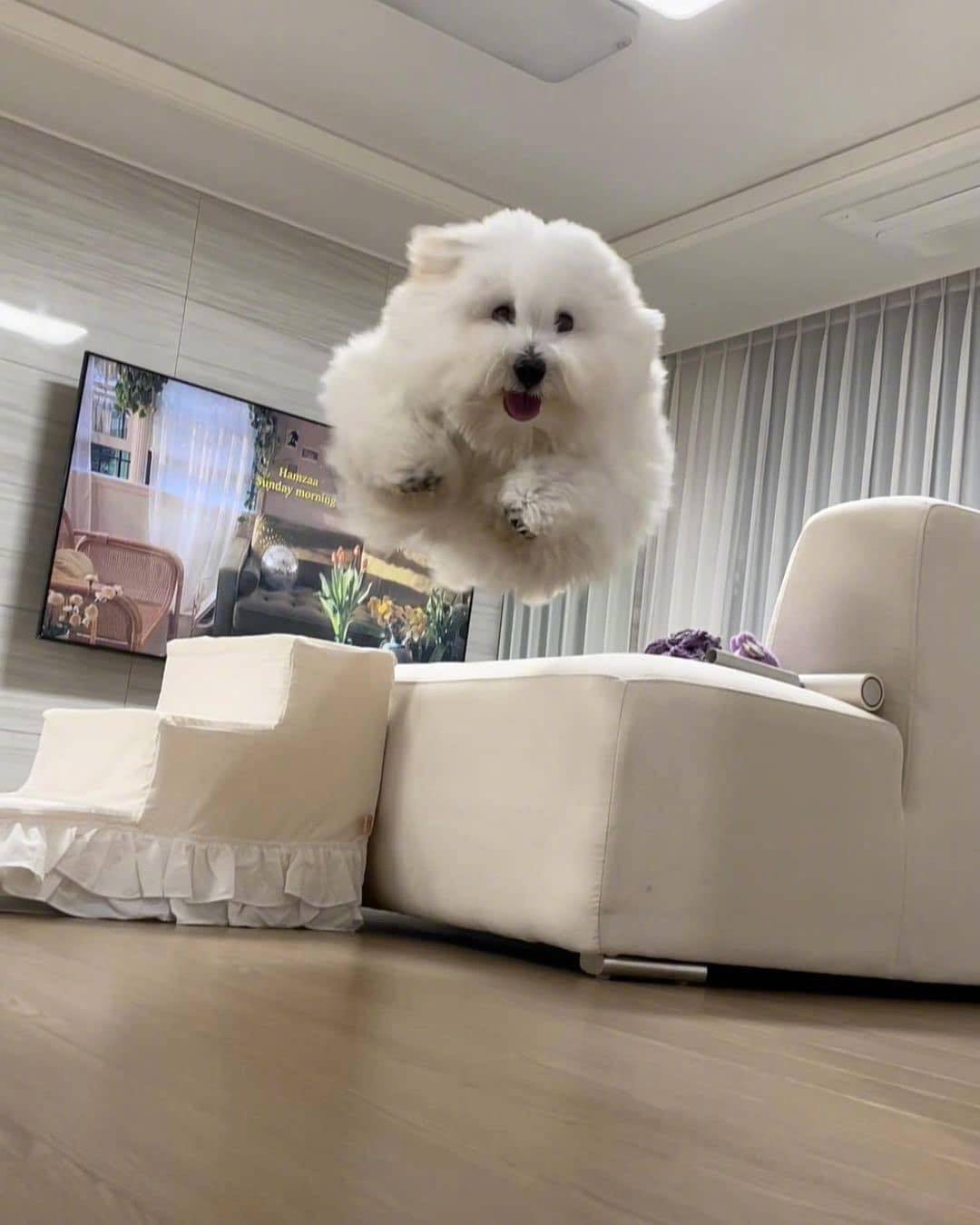 一朵筋斗云……